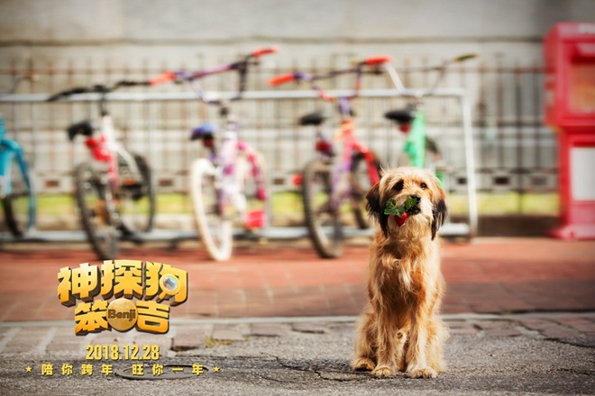 《神探狗笨吉》定档12.28 ＂超级萌宠＂登中国银幕