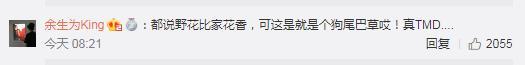 看了洪欣的旧照,才知道为什么网友要大骂张丹峰瞎了!